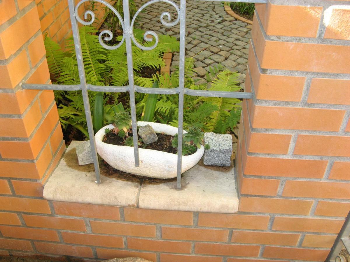 Ferienhaus Mona Liese Appartement